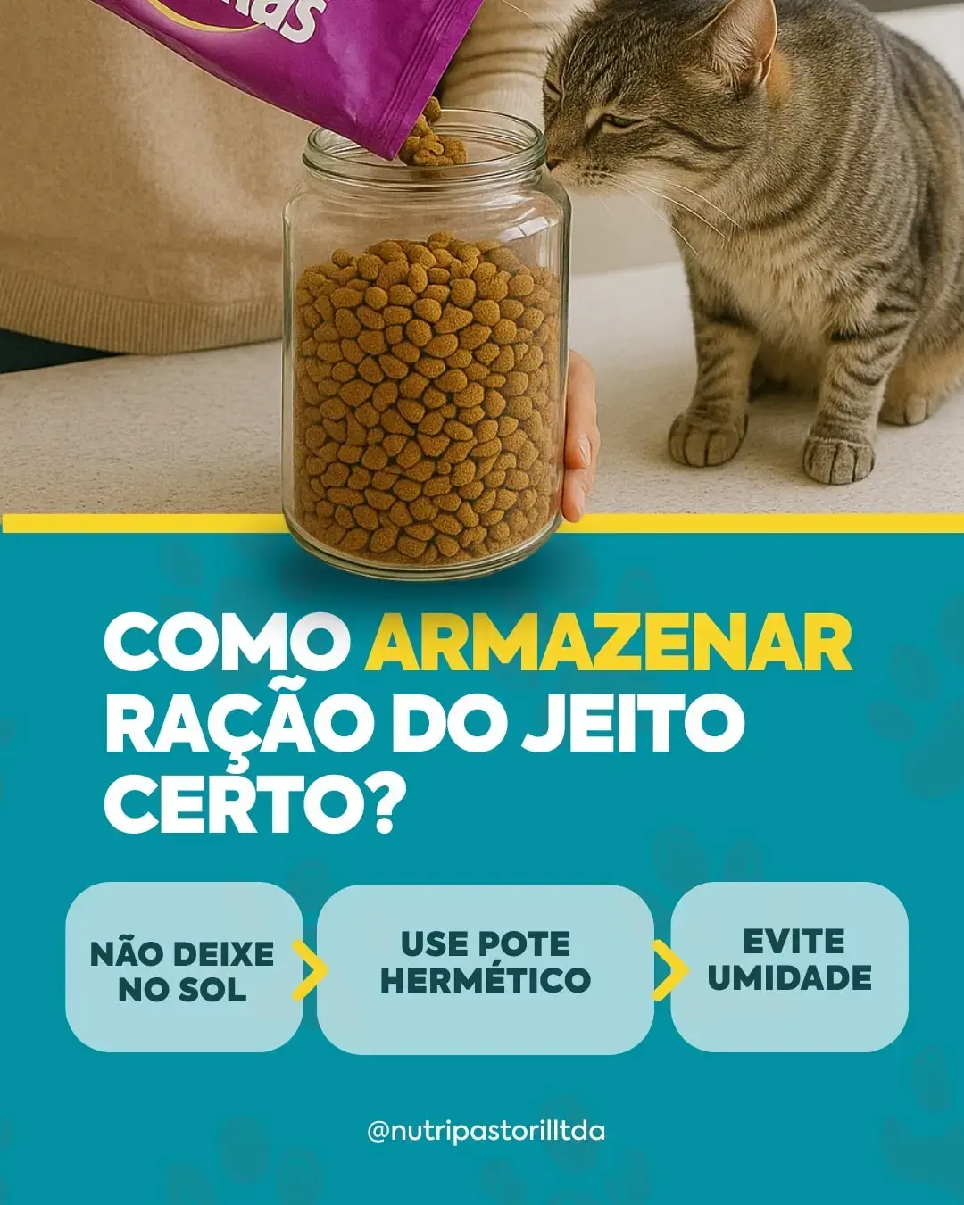 Como armazenar ração do jeito certo?